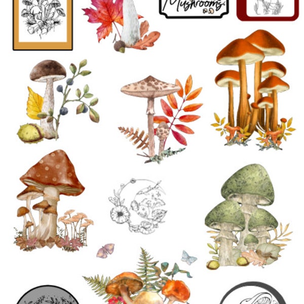 Mushroom Stickers  - 13 stickers - Journal Stickers - Craft Stickers - Scrapbooking - Card Making