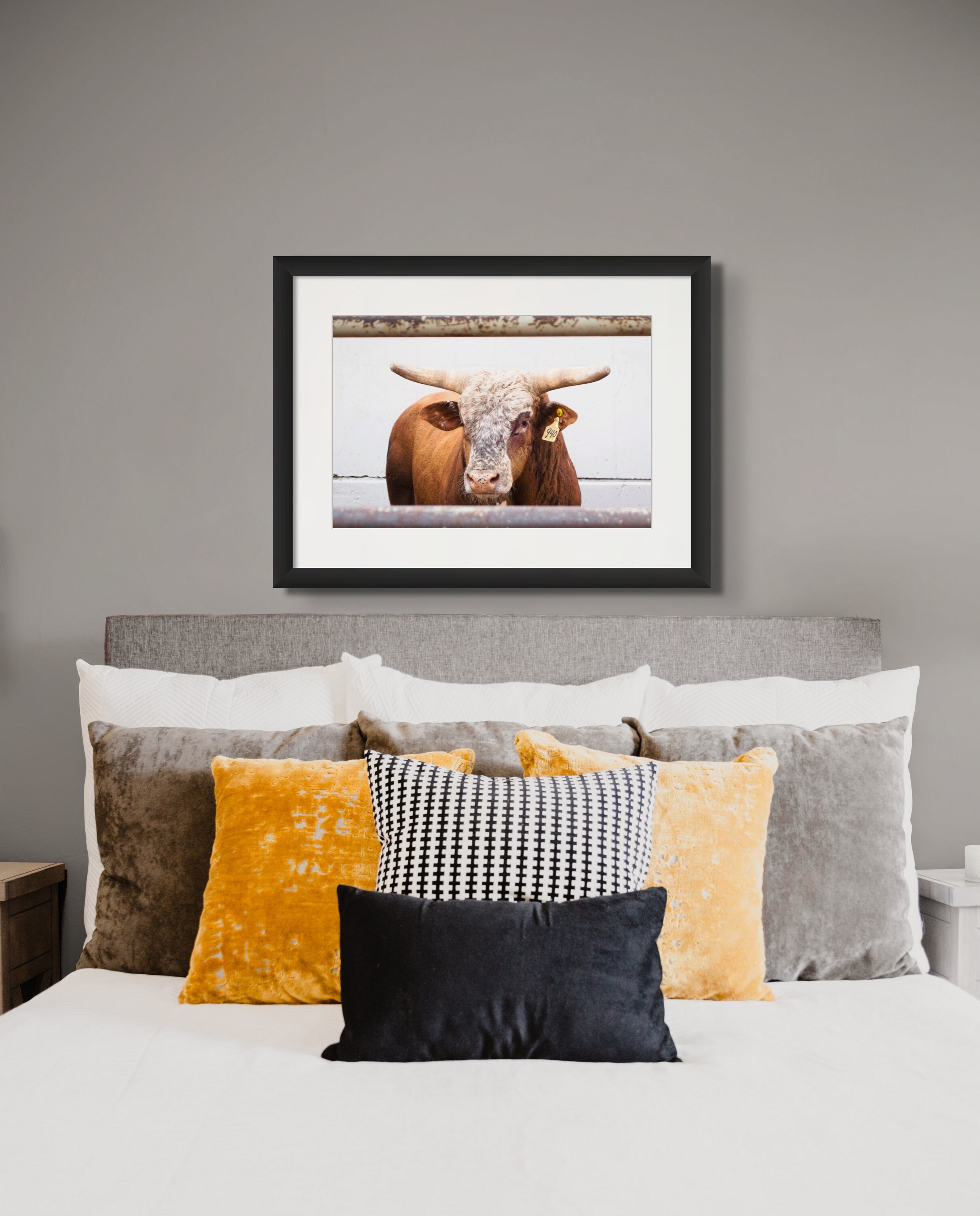 Texas Longhorn Majesty: Cow Portrait Through Metal Rails Color