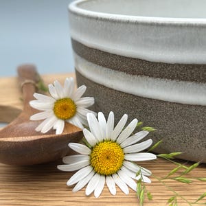 Puede incluir: Un cuenco de cer&aacute;mica con un dise&ntilde;o a rayas blancas y marrones, una cuchara de madera y dos margaritas con p&eacute;talos blancos y centros amarillos. Los art&iacute;culos est&aacute;n dispuestos sobre una superficie de madera.