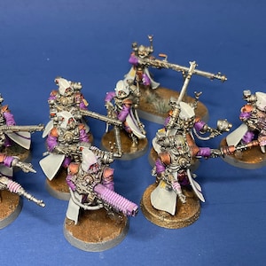 10 Professionally Painted Skitarii Rangers