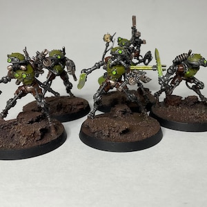 5 Professionally Painted Sicarian Infiltrators