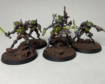 5 Professionally Painted Sicarian Infiltrators