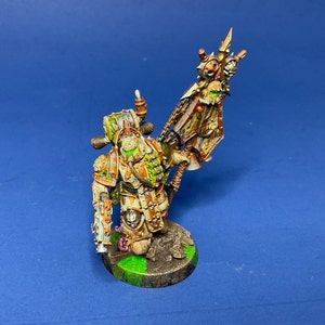 Professionally Painted Icon Bearer Plague Marine