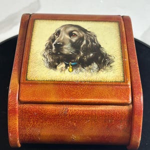 May include: A rectangular, hinged box with a dog portrait on the lid. The box is a reddish-brown color with a textured appearance. The dog portrait features a black and brown spaniel with a blue collar and a gold charm.