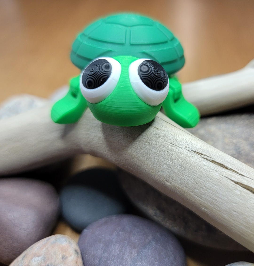 3D Printed Articulated Turtle Fidget Toy - Etsy