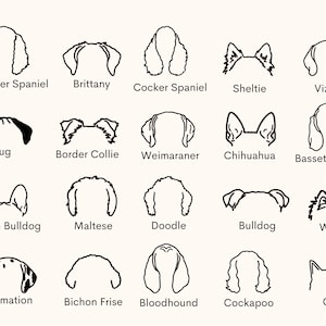 K&ouml;nnte beinhalten: Schwarz-wei&szlig;e Strichzeichnungen verschiedener Hunderassen, darunter ein Springer Spaniel, Brittany, Cocker Spaniel, Sheltie, Vizsla, Mops, Border Collie, Weimaraner, Chihuahua, Basset Hound, Franz&ouml;sische Bulldogge, Malteser, Pudel, Bulldogge, Westie, Dalmatiner, Bichon Fris&eacute;, Bloodhound, Cockapoo und eine Katze.