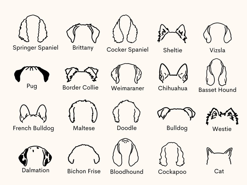 K&ouml;nnte beinhalten: Schwarz-wei&szlig;e Strichzeichnungen verschiedener Hunderassen, darunter ein Springer Spaniel, Brittany, Cocker Spaniel, Sheltie, Vizsla, Mops, Border Collie, Weimaraner, Chihuahua, Basset Hound, Franz&ouml;sische Bulldogge, Malteser, Pudel, Bulldogge, Westie, Dalmatiner, Bichon Fris&eacute;, Bloodhound, Cockapoo und eine Katze.