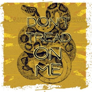 Don&#39;t Tread On Me Snake Sublimation Shirt PNG Design