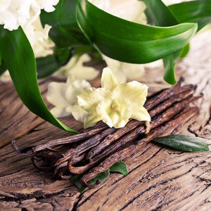 Sandalwood Vanilla Goat Milk Soap