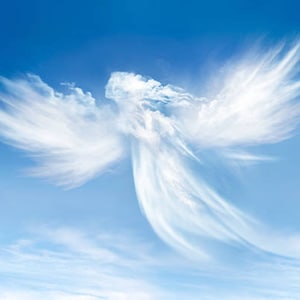 Angel Goat Milk Soap