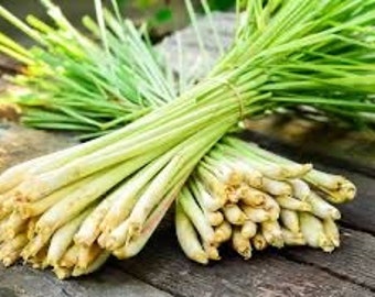 Lemongrass Goat Milk Soap