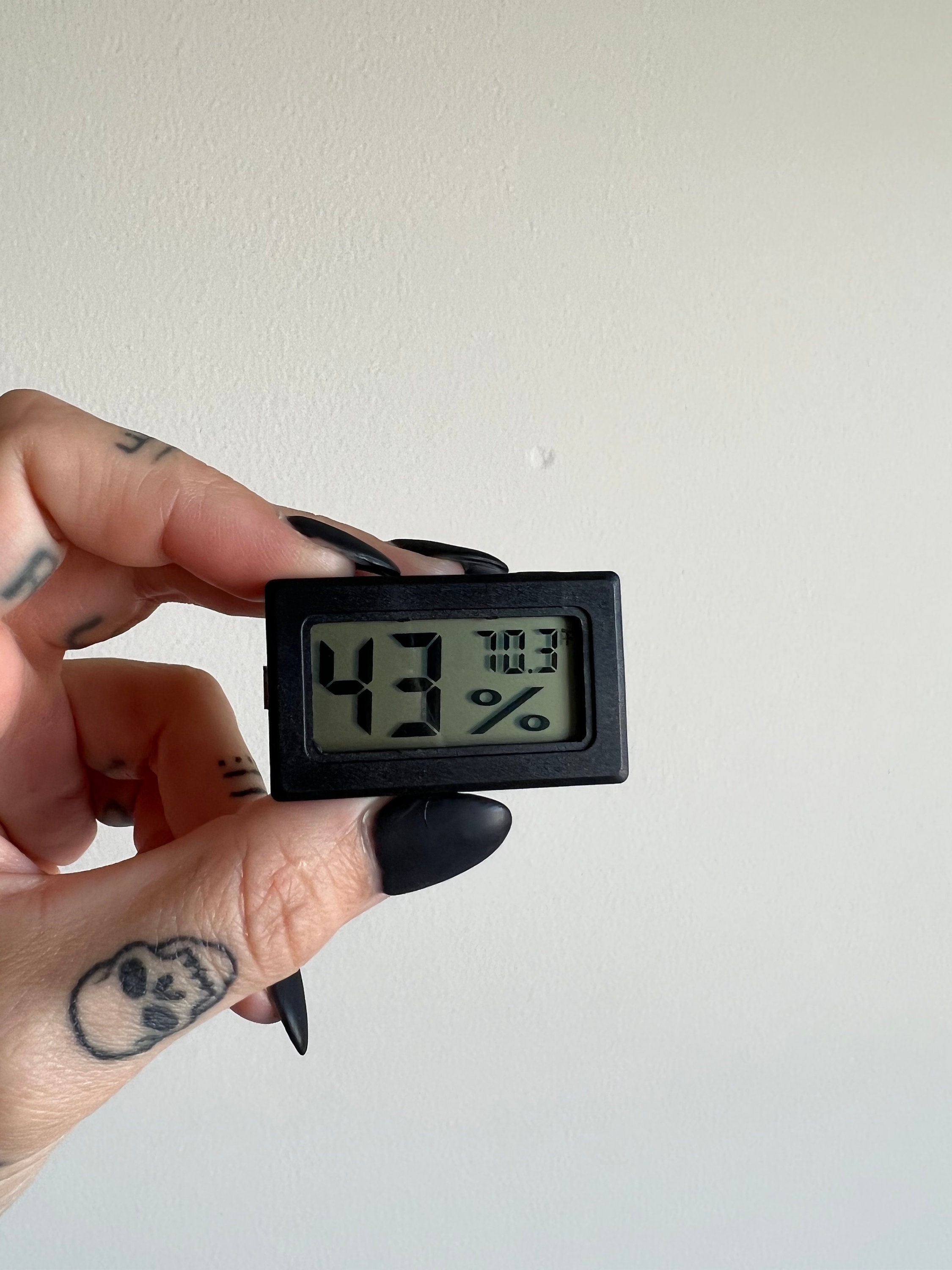 Mini Hygrometer/Thermometer — Itsy Bitsy Friends Jumping Spiders