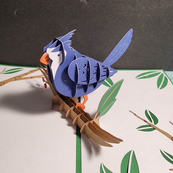 Blue Jay Pop Up Card