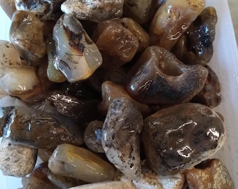 Montana agates for tumbling small. 1/2 to 3 inches. 10 pounds.