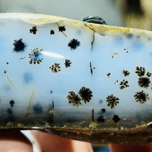 May include: A polished, elongated, translucent light blue stone pendant featuring dark, dendritic, fern-like inclusions scattered across its surface. The stone has a smooth, rounded shape with a natural, textured, brownish-tan outer edge.
