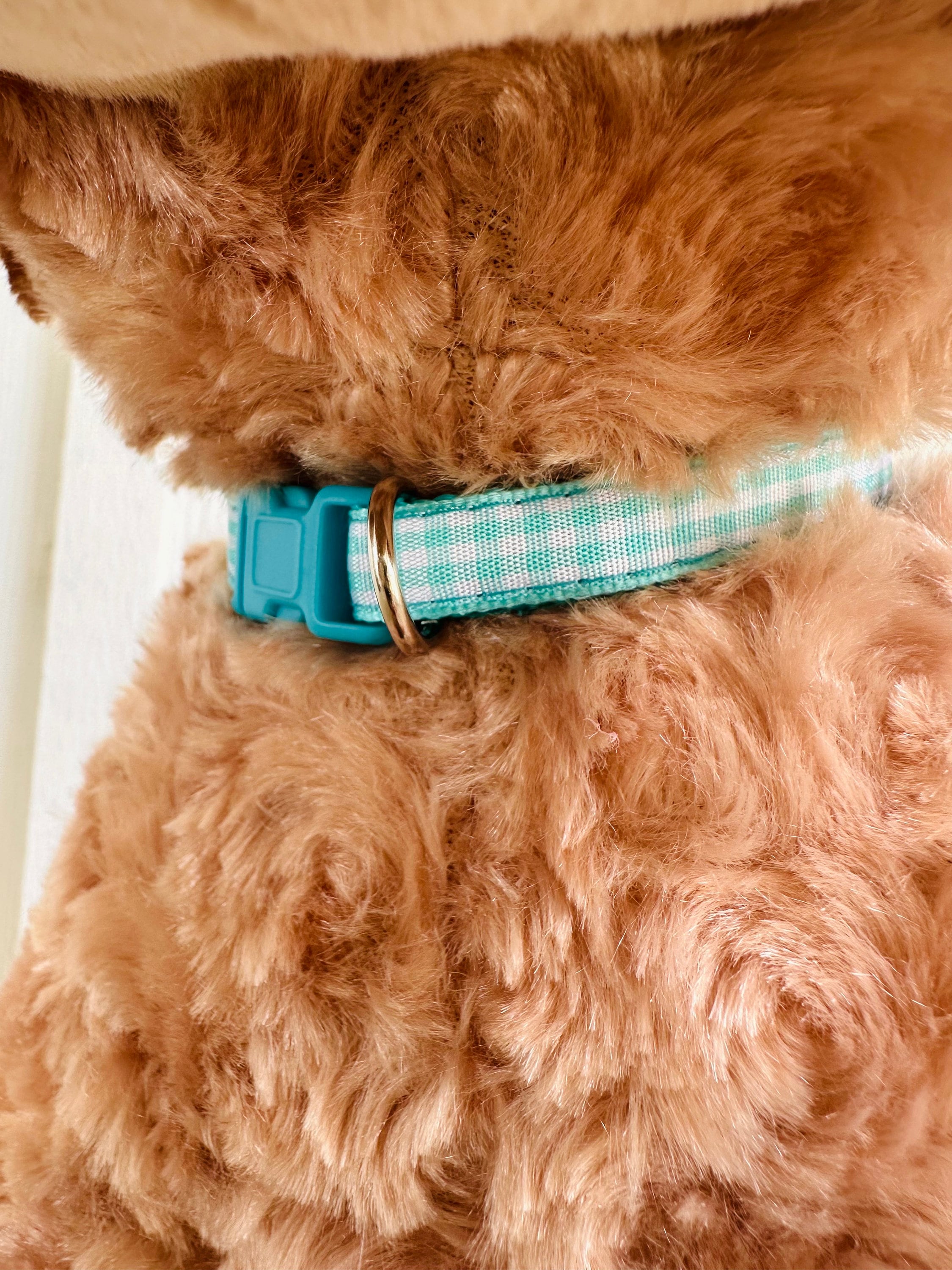 Plush Collar