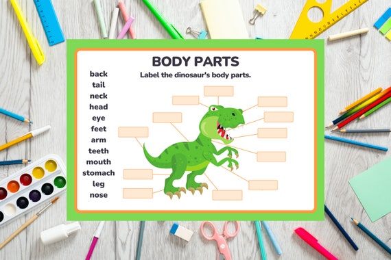 dinosaur name the body parts worksheet dinosaur pdf body etsy