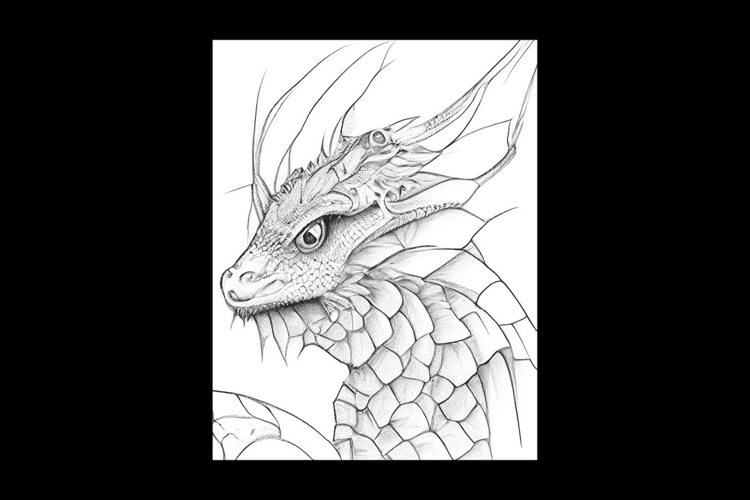 Dragons Coloring Pages, Fantasy Coloring, Printable, Adult Coloring - Etsy