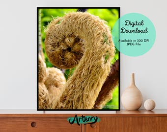 Pflanze Leben Wand Dekor - digitaler Download - Printable - Flora seltsame Pflanze einzigartige Natur