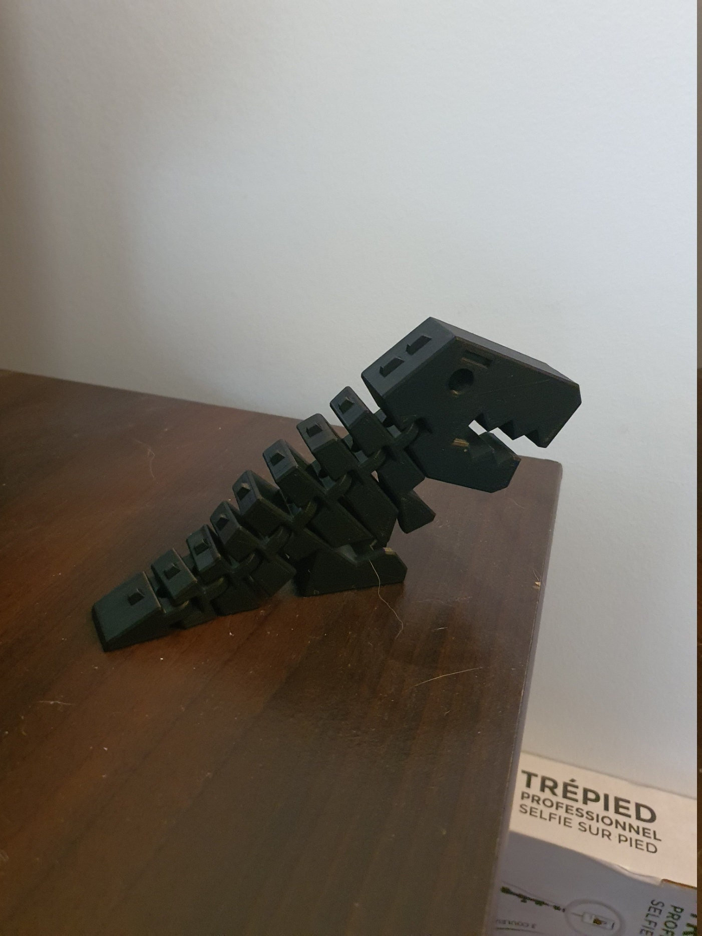 T-Rex Articulé