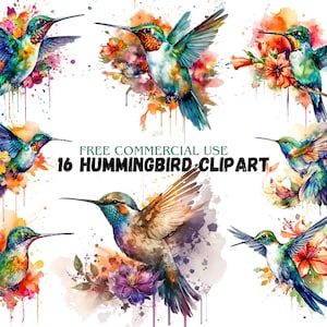 Hummingbird Watercolor Clipart: 16 PNG Graphics (Digital Download)
