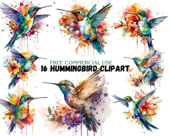 Aquarel clipart kolibrie: 16 png-afbeeldingen (digitale download)