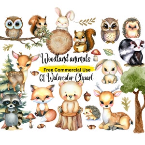 61 cliparts aquarelle animaux de la forêt, clipart animaux de la forêt, décoration de chambre d'enfant, ours, renard, hibou, hérisson, lapin, cerf