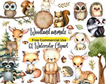 61 Woodland animals watercolor clipart, forest animals clip art, nursery decor, bear, fox, owl, hedgehog, rabbit, deer