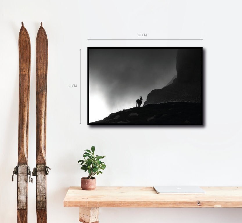 Photographie - Haute Savoie Alpes Françaises