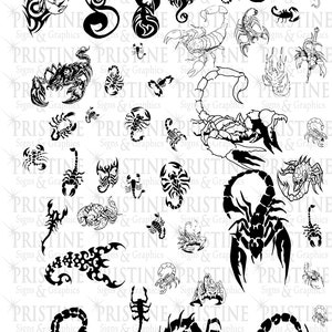 Skorpion Digital Svg Bundle 50+ Designs
