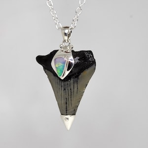 May include: A silver chain necklace with a pendant featuring a fossilised shark tooth with a small iridescent opal set in the centre.