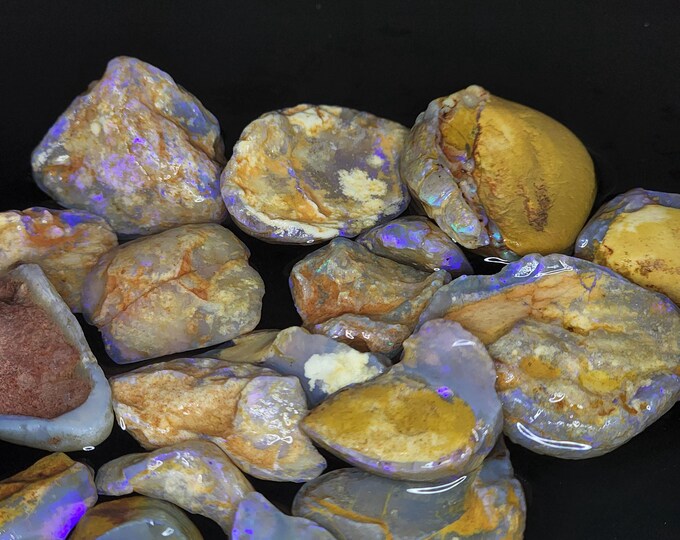 Shell Opal Fossils – [ O.145] - Etsy Australia