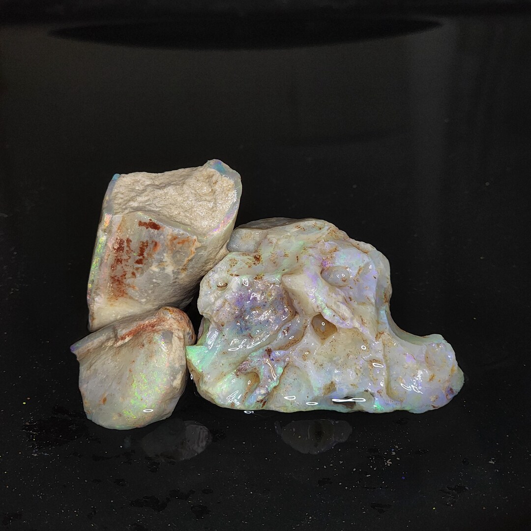 Shell Opal Fossils – [ O.133] - Etsy Australia