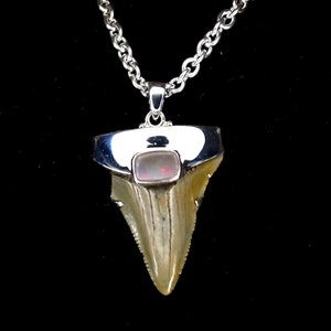 May include: A silver chain necklace with a pendant featuring a fossilized shark tooth with a pink opal stone set in a silver bezel.
