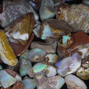 May include: A selection of raw opal stones in diverse shapes and sizes. The opals exhibit a spectrum of colours, including white, brown, yellow, and blue, with iridescent flashes. The stones are partially submerged in water, enhancing their natural colours.