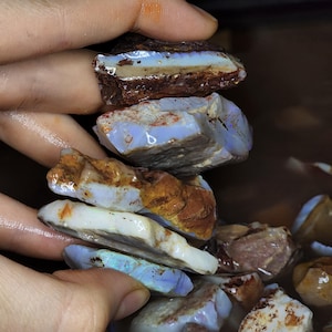 May include: A collection of raw, unpolished opal stones featuring a mix of translucent blue, milky white, and earthy brown matrix layers. The stones have irregular, jagged edges and a wet, glossy surface texture, showcasing natural mineral formations.