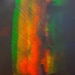 Rob