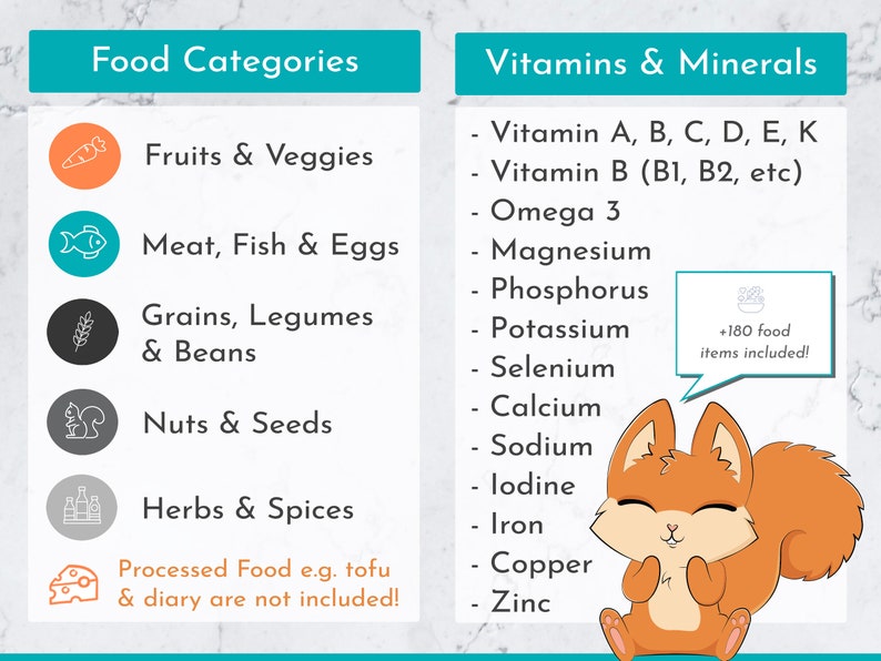 May include: A colorful infographic with a cartoon squirrel. The infographic lists food categories such as fruits and veggies, meat, fish and eggs, grains, legumes and beans, nuts and seeds, and herbs and spices. The infographic also lists vitamins and minerals such as vitamin A, B, C, D, E, K, vitamin B (B1, B2, etc), omega 3, magnesium, phosphorus, potassium, selenium, calcium, sodium, iodine, iron, copper, and zinc. The infographic states that over 180 food items are included.
