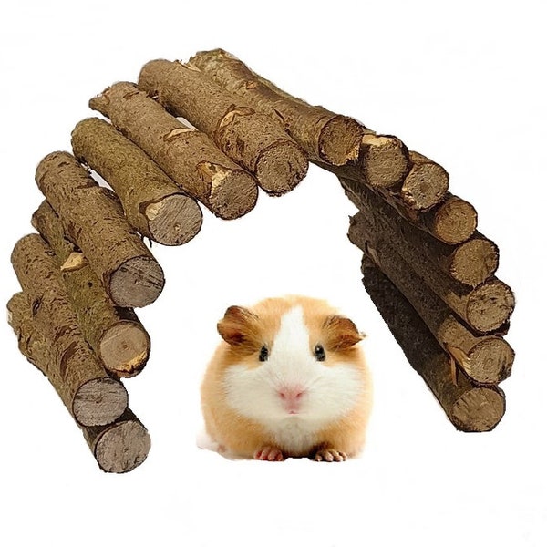 Pet Animal Arch Wooden Bridge Mouse Hamster Rat Gerbil Guinea Pig Chinchilla Rabbit Snake Reptile