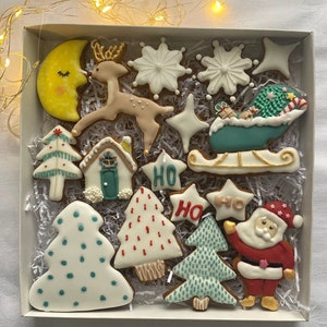 Könnte beinhalten: Eine Schachtel mit weihnachtlichen Lebkuchen. Die Kekse sind mit verschiedenen Motiven verziert, darunter ein Rentier, ein Mond, ein Haus, ein Weihnachtsmann und Weihnachtsbäume. Die Schachtel ist mit weißem zerknülltem Papier gefüllt.