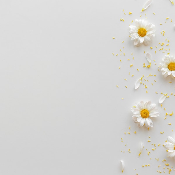 Daisy Themed Photography Backdrop, Vinyl Photo Backdrop, Backdrop Boards for Food and Product Photography