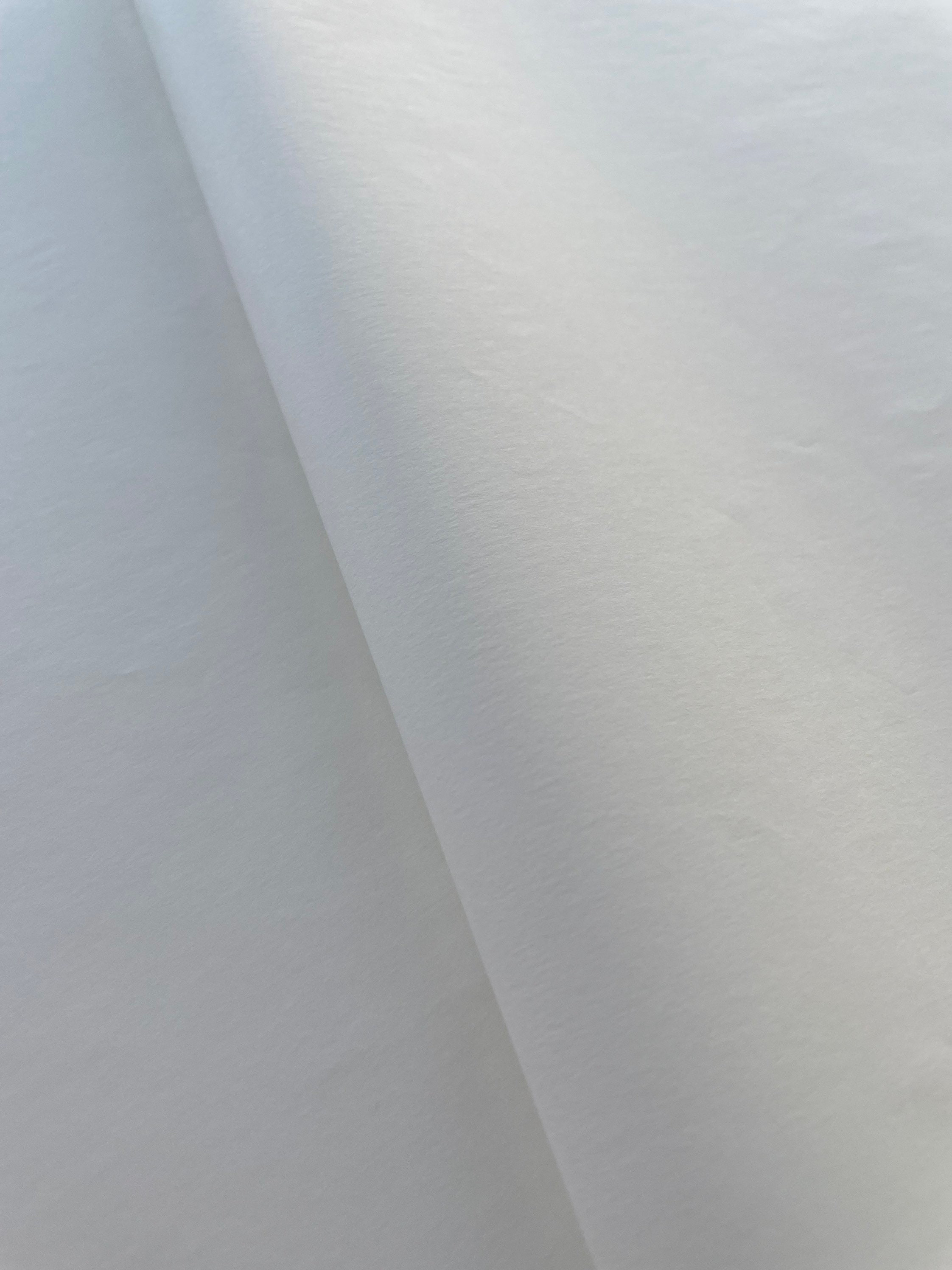Full Sheets Wet Strength Tissue Transluscent White Paper 17gsm