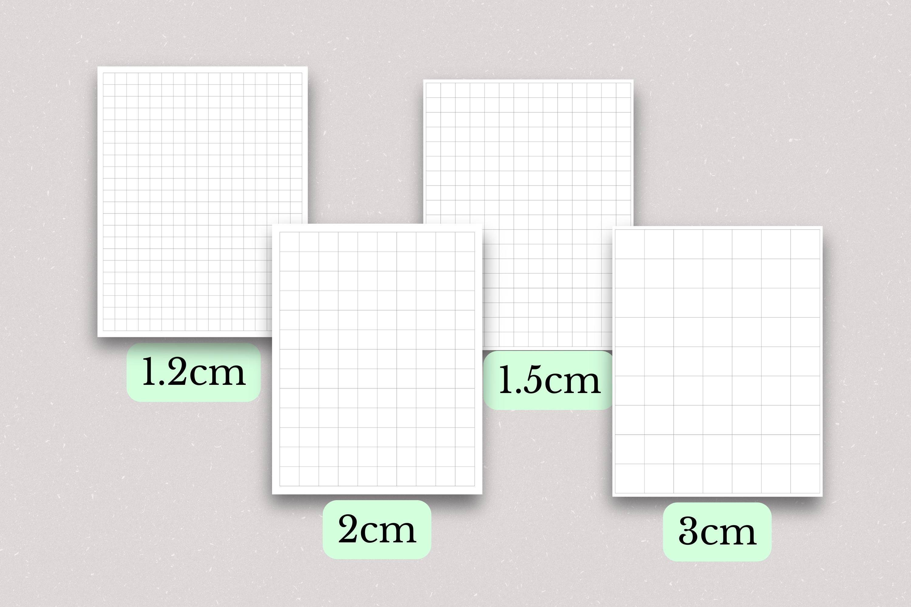 Printable Graph Paper Bundle, 13 Variations (PDF) - Etsy