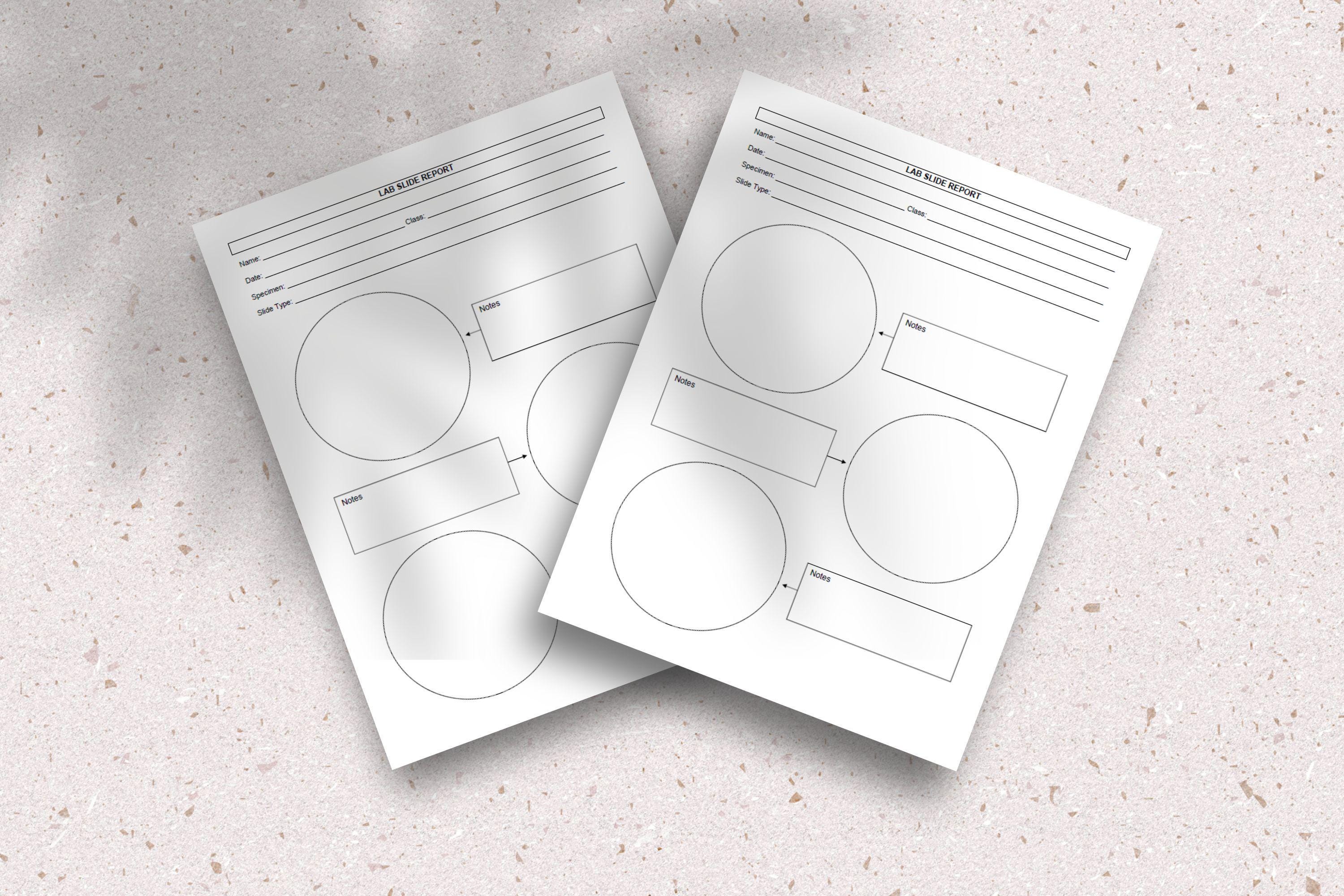 Printable Lab Slide Report Template PDF Science Worksheet for Students ...