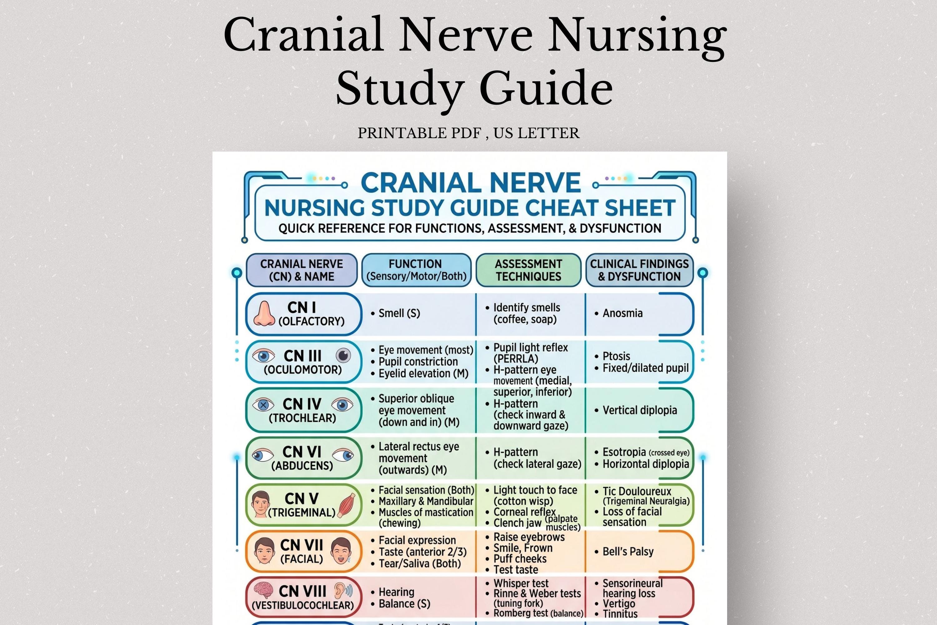 健康・医学 Cranial Participant Guide Cranial Nerve Nursing Notes PDF, Cranial Nerves Cheat Sheet, Neuro