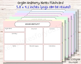 Organ Anatomy Notes Flashcard Template, Medical Study (Digital Download)
