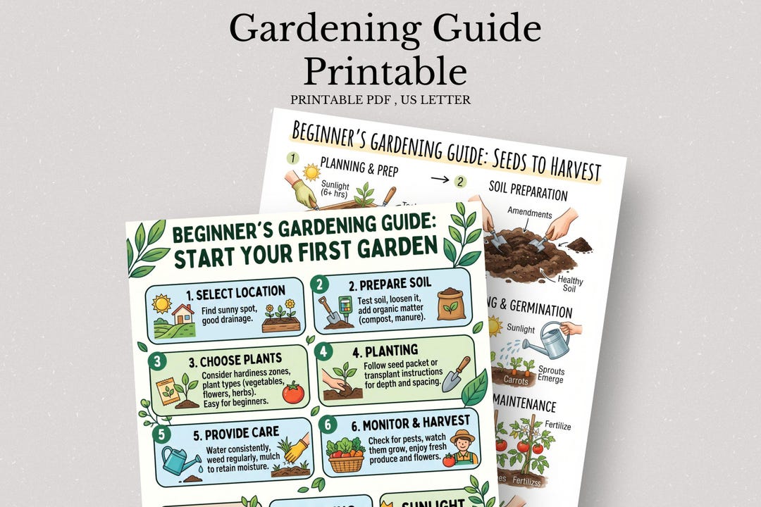 Beginner Gardening Guide, Seed to Harvest Infographic, Planting Steps ...