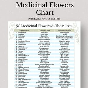 Medicinal Chart - Etsy