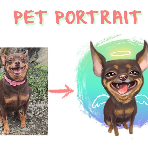 Pet Portrait, Custom Portrait, Caricature, drawing , Cartoon, Digital Illustration, Portrait from Photo, Pet