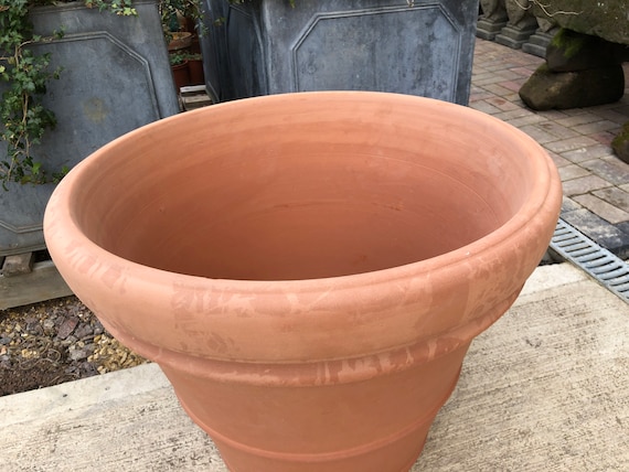 bolia botanique plant pot 9in Bolle Pot With Saucer